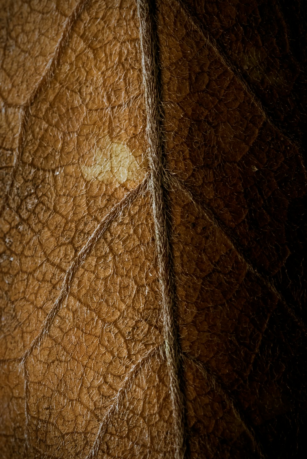 a close up of a brown leather texture