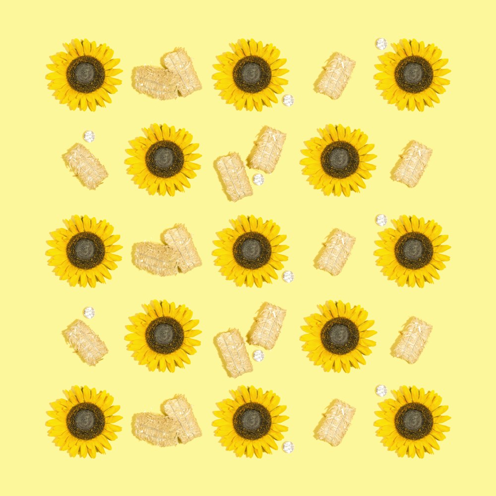 Sunflower flowers lot