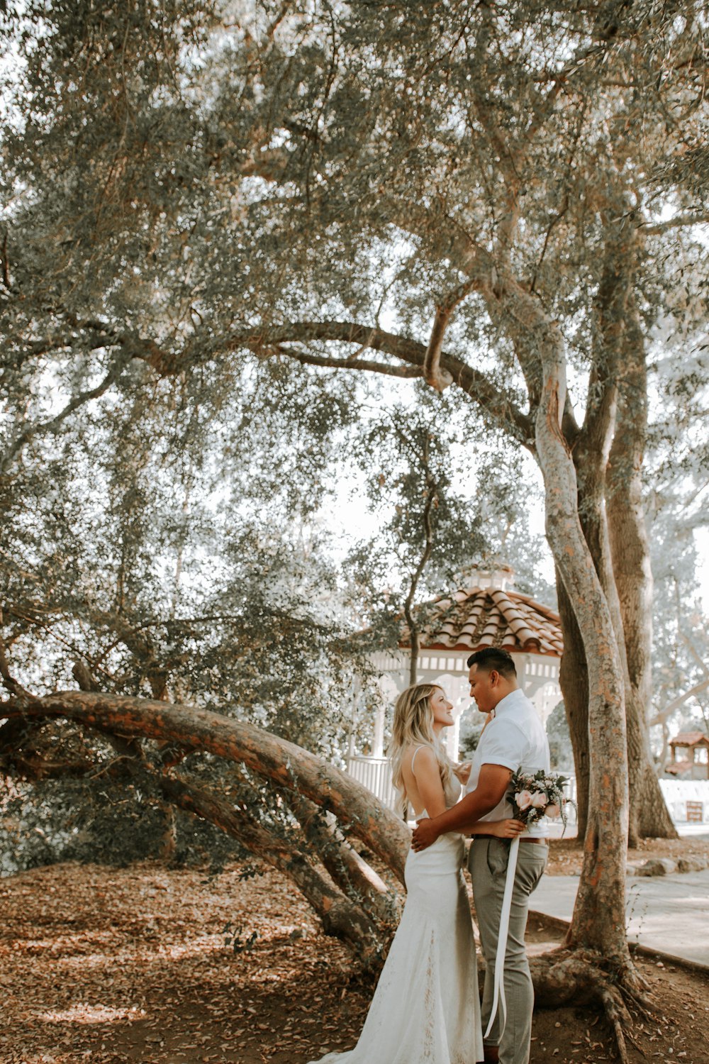 uomo e donna di fronte l'uno all'altro sotto l'albero