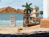 A cobblestone street extends towards colorful colonial-style buildings, featuring a blue wall with a white door and washed-out paint. Two palm trees rise prominently in the background, amid other vibrant structures decorated in rustic yellows and blues. In the foreground, two yellow sculptures of people sit, seemingly watching the scenery.