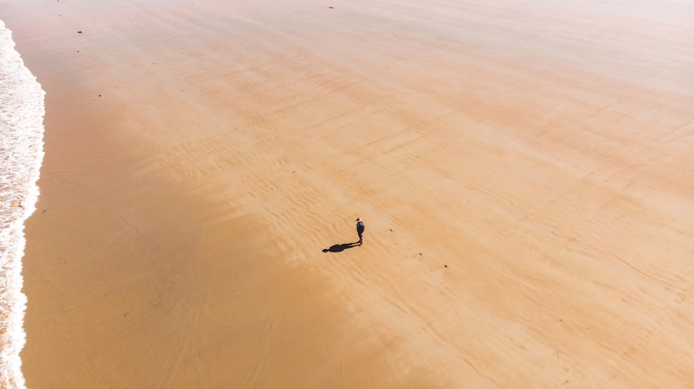 person waling on brown sand beach during daytime