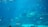 An underwater scene with a variety of marine life including a prominent whale shark at the center surrounded by different species of fish and rays. The water is clear, giving a deep blue hue to the environment, and small schools of colorful fish swim in harmony. The setting appears to be within a large aquarium.