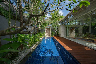 clean swimming pool near green leafed tree