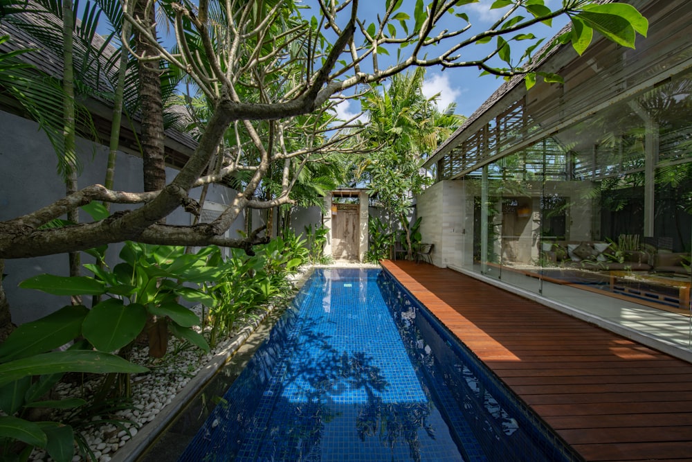 clean swimming pool near green leafed tree