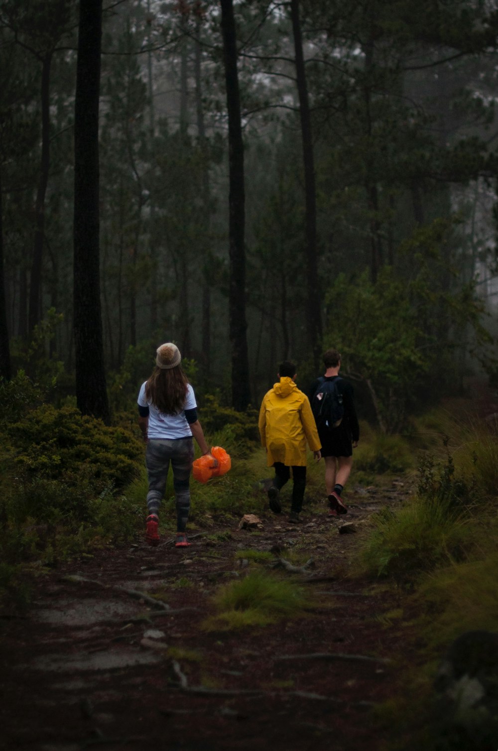 three people walking on footpath near trees