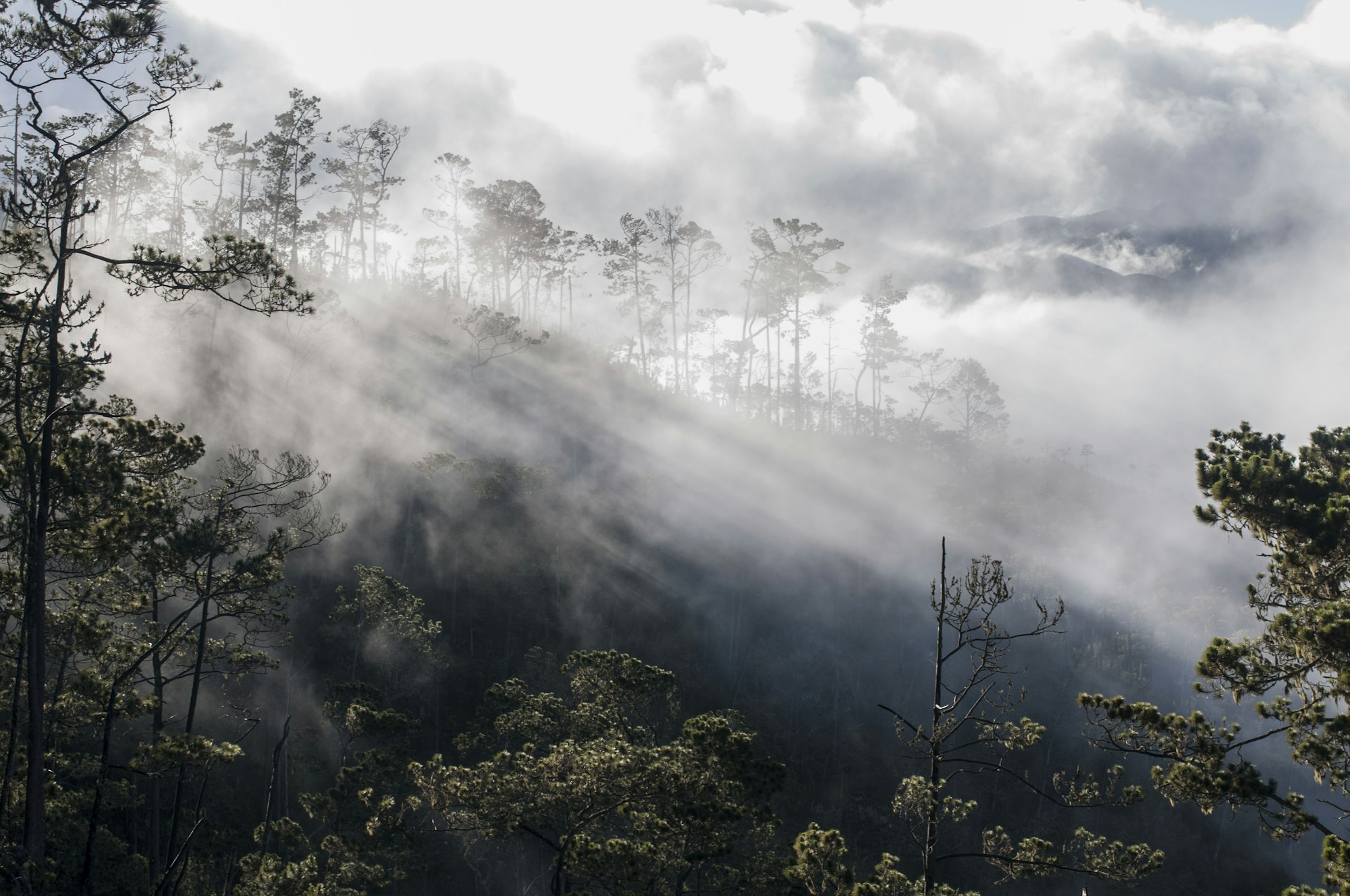 Exploring the Democratic Republic of the Congo