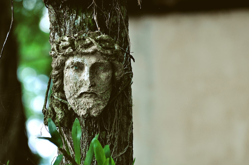 Jesus tree artwork