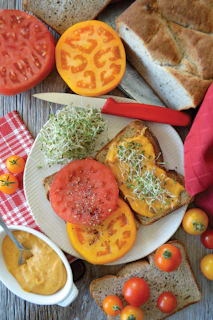 A neat stack of whole grain toast with cottage cheese and sliced cherry tomatoes.