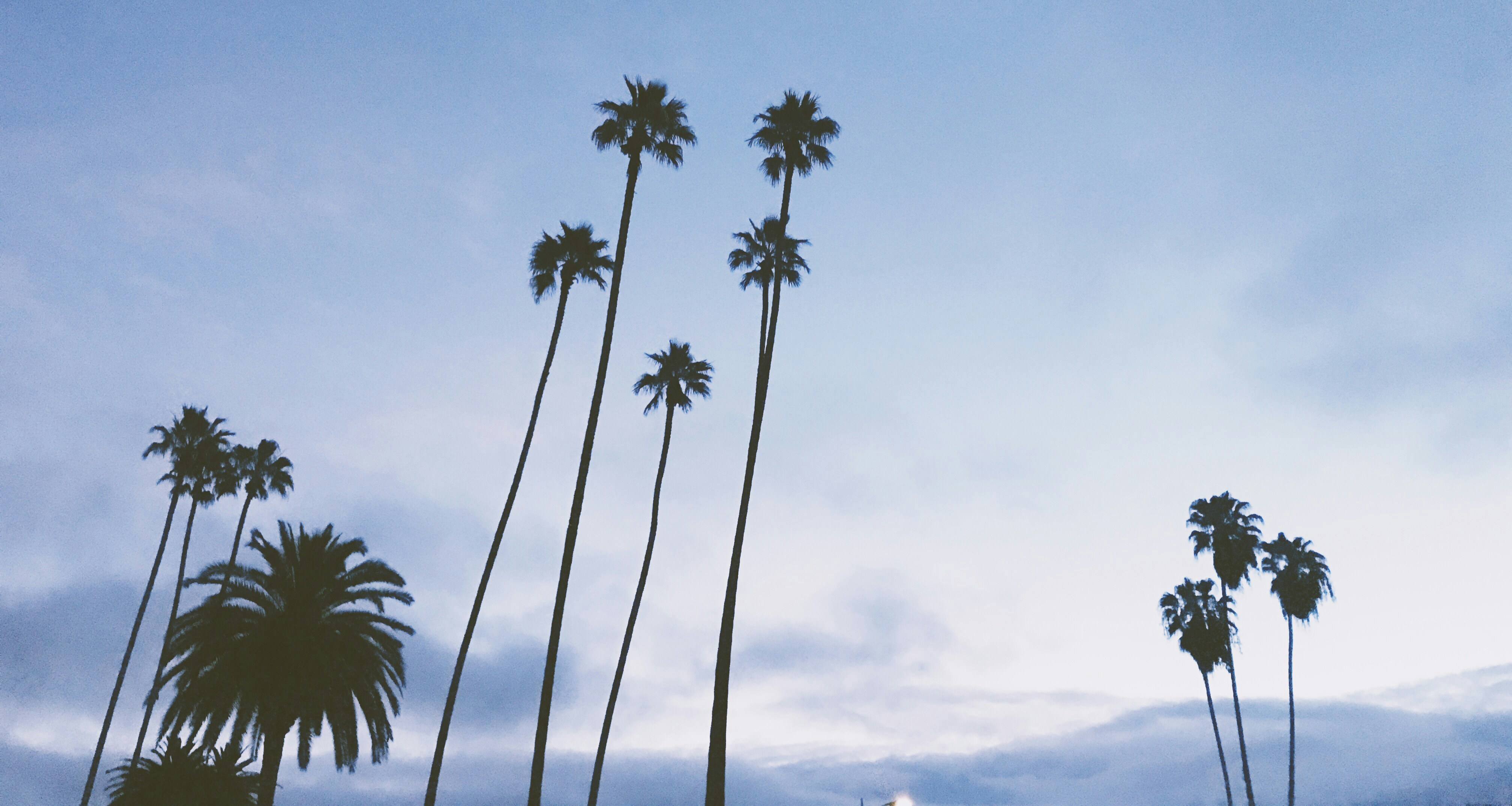 Photo by brandialxndra