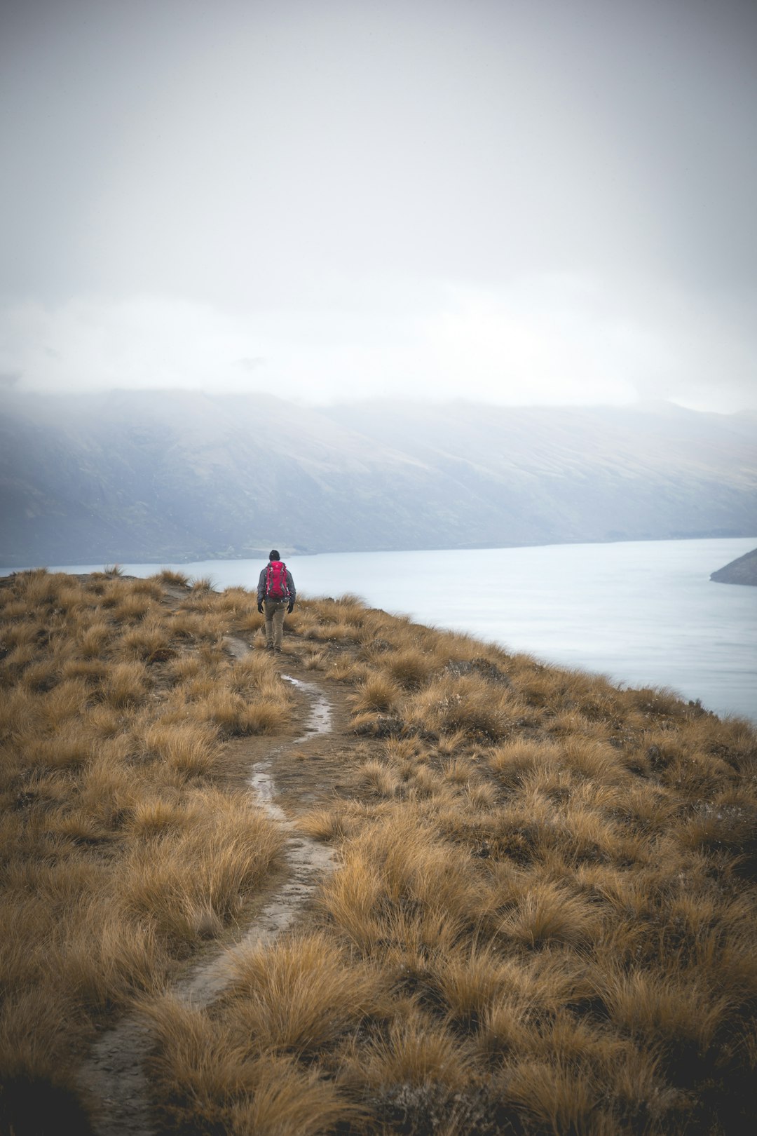 Shore photo spot Queenstown Milford Sound