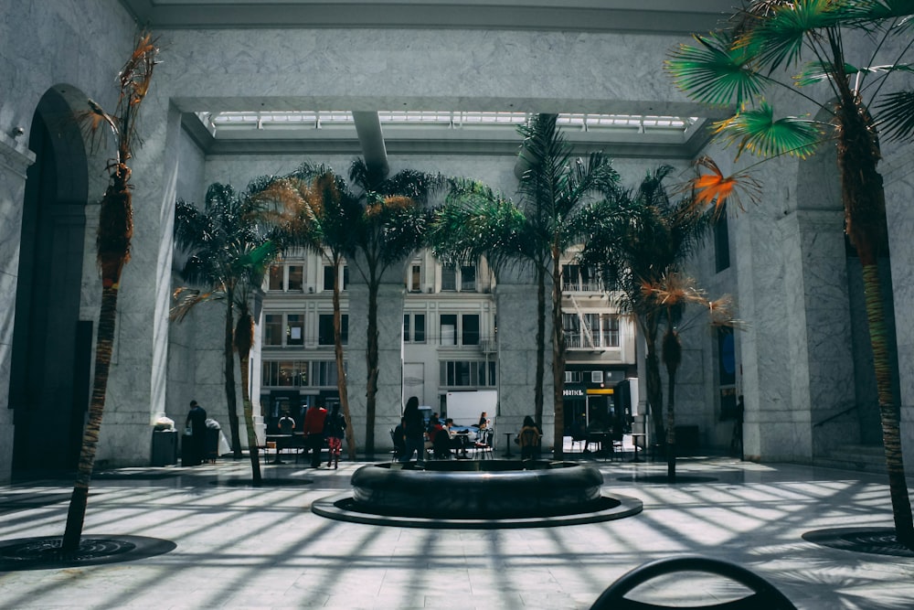 palm tree near concrete walls