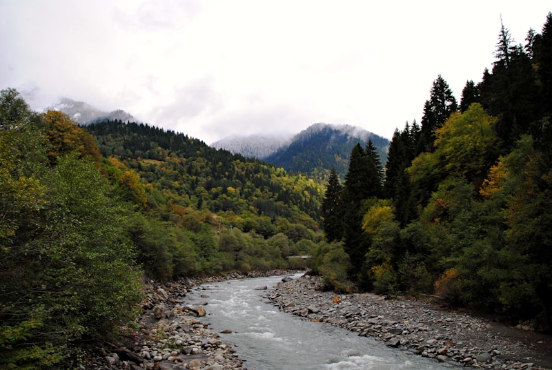 Nakuraleshi