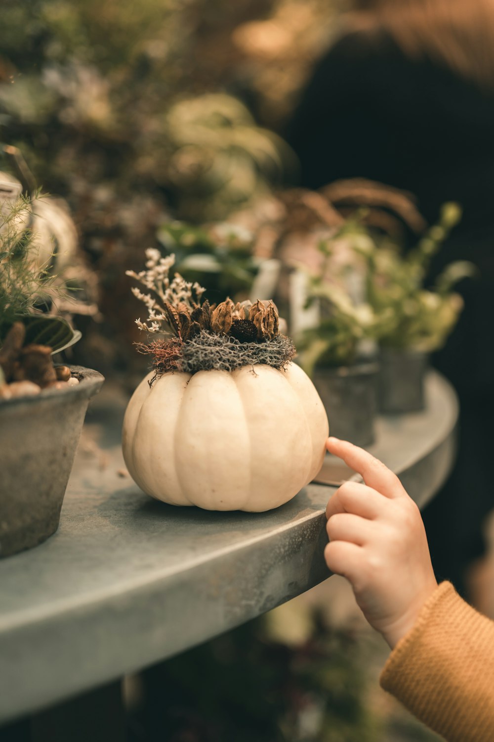 person touching white squash plant pot shallow focus photography