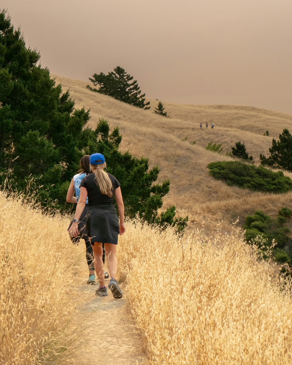 two woman walks outdoor