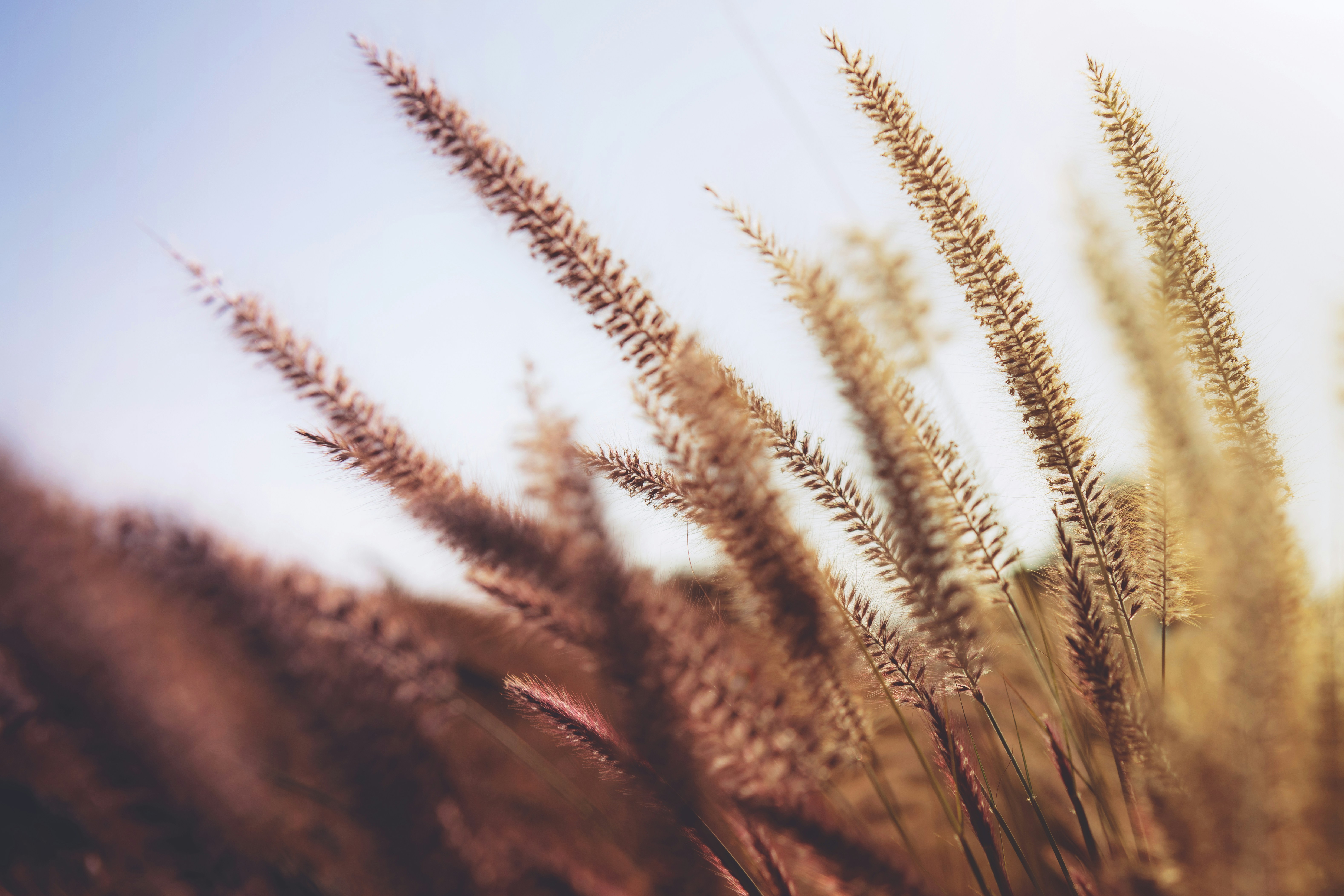 Photo by timmossholder