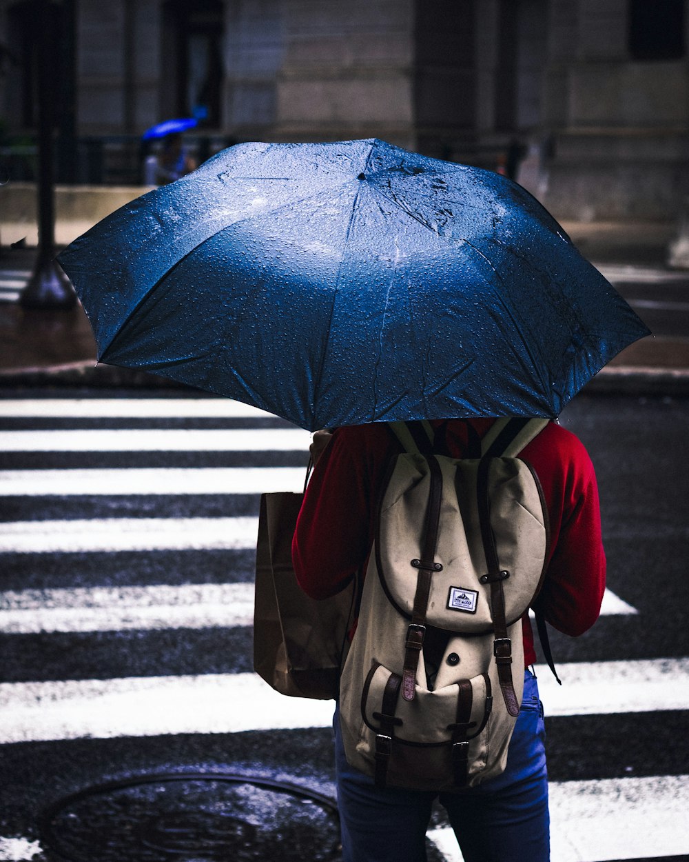 person holding blue umbrella