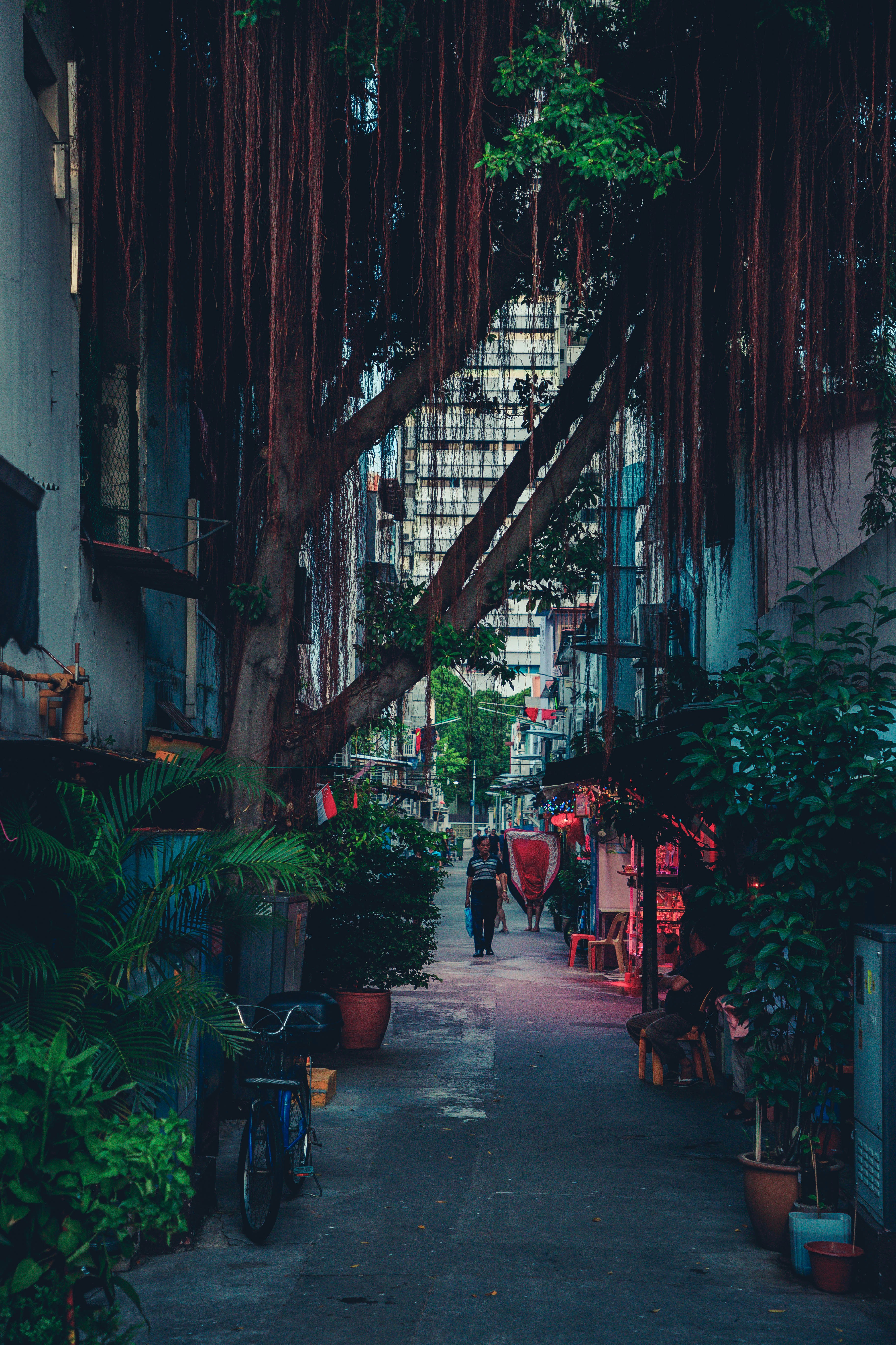 Photo by rebelvisual