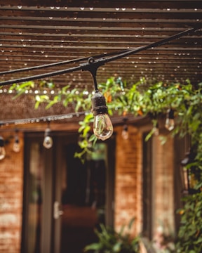 A close-up view of a string of light bulbs hanging under a patio with droplets of water on the metal framework above. Green foliage adorns the background, creating a natural and peaceful atmosphere around a windowed building.