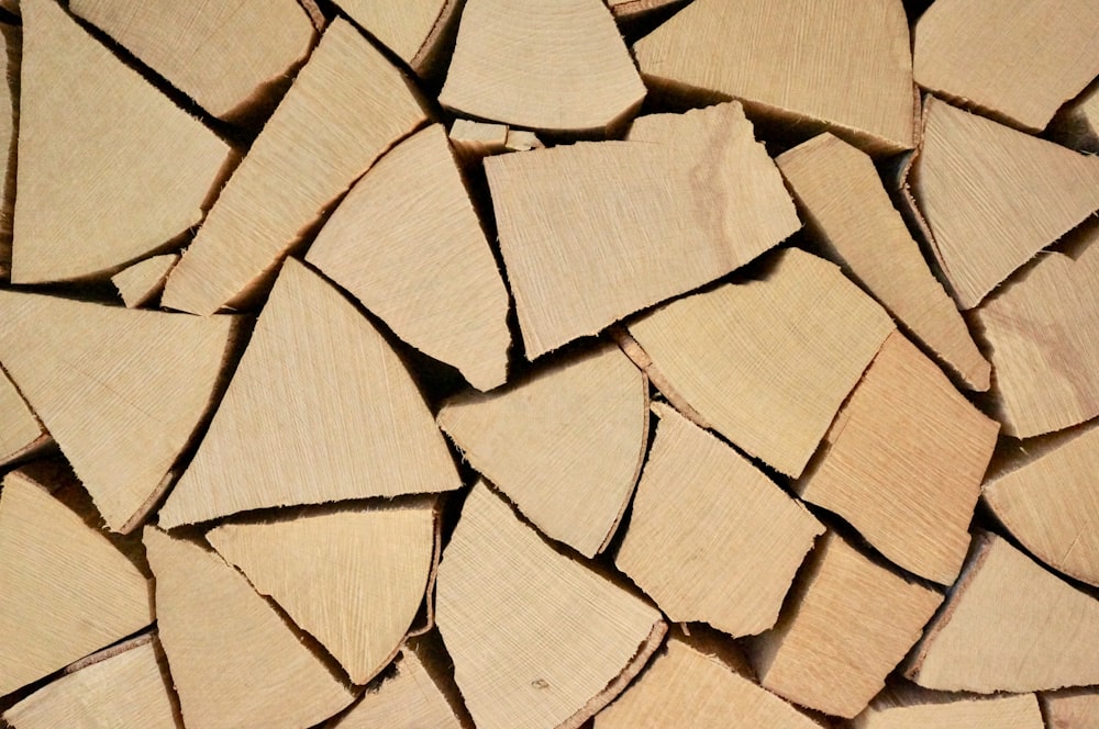 pile of firewood