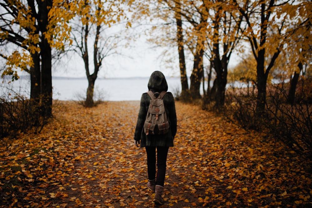 woman walking on pathway with falling leaves near body of water during daytime