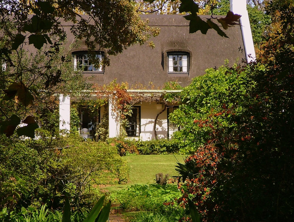 brown and white house near plants and trees