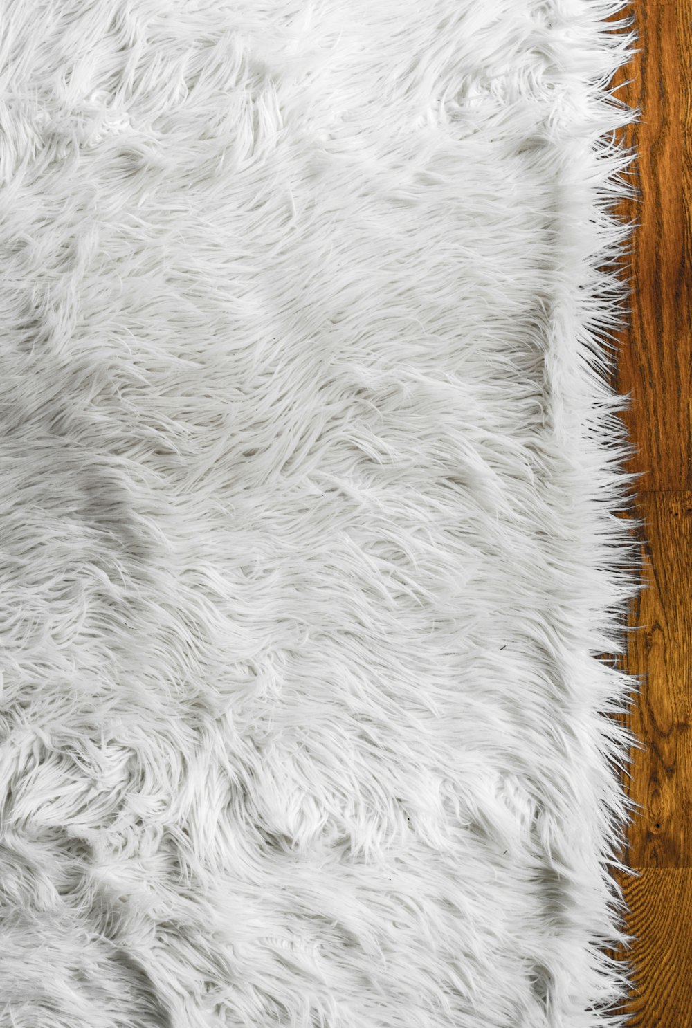 white sheepskin rug