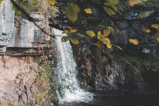 waterfalls during daytime in Ingleton Waterfalls Trail United Kingdom
