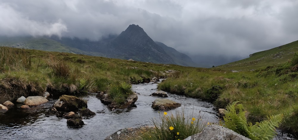 river in the middle of grassy mountain during cloudy day