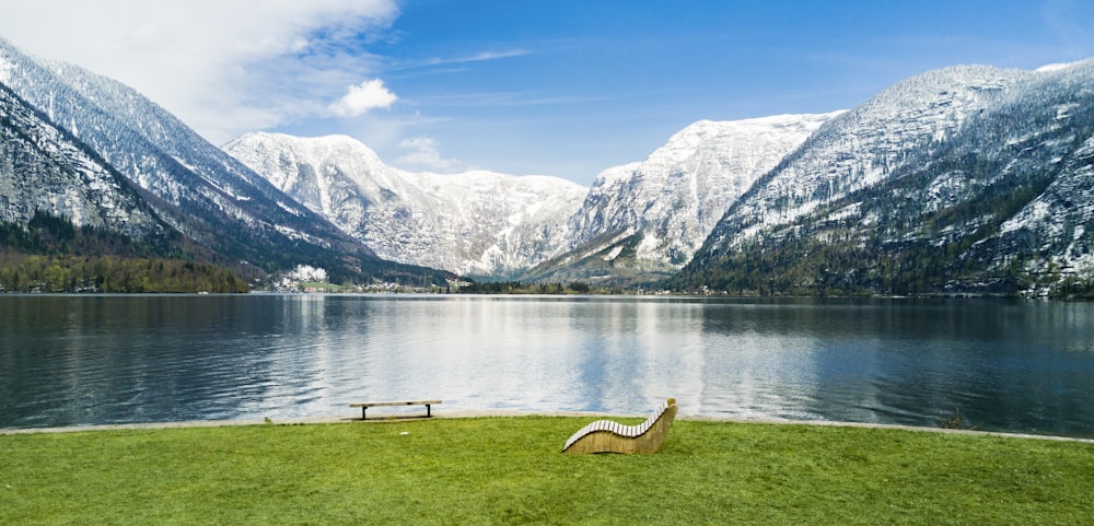 campo di erba verde vicino al lago