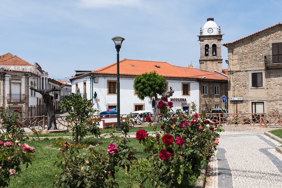 Travel Tips and Stories of Figueira de Castelo Rodrigo in Portugal