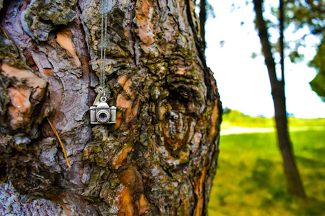 Close-up of a custom engraved dog tag shining softly against a backdrop of dense forest greenery