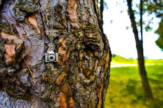 Close-up of a custom engraved dog tag shining softly against a backdrop of dense forest greenery