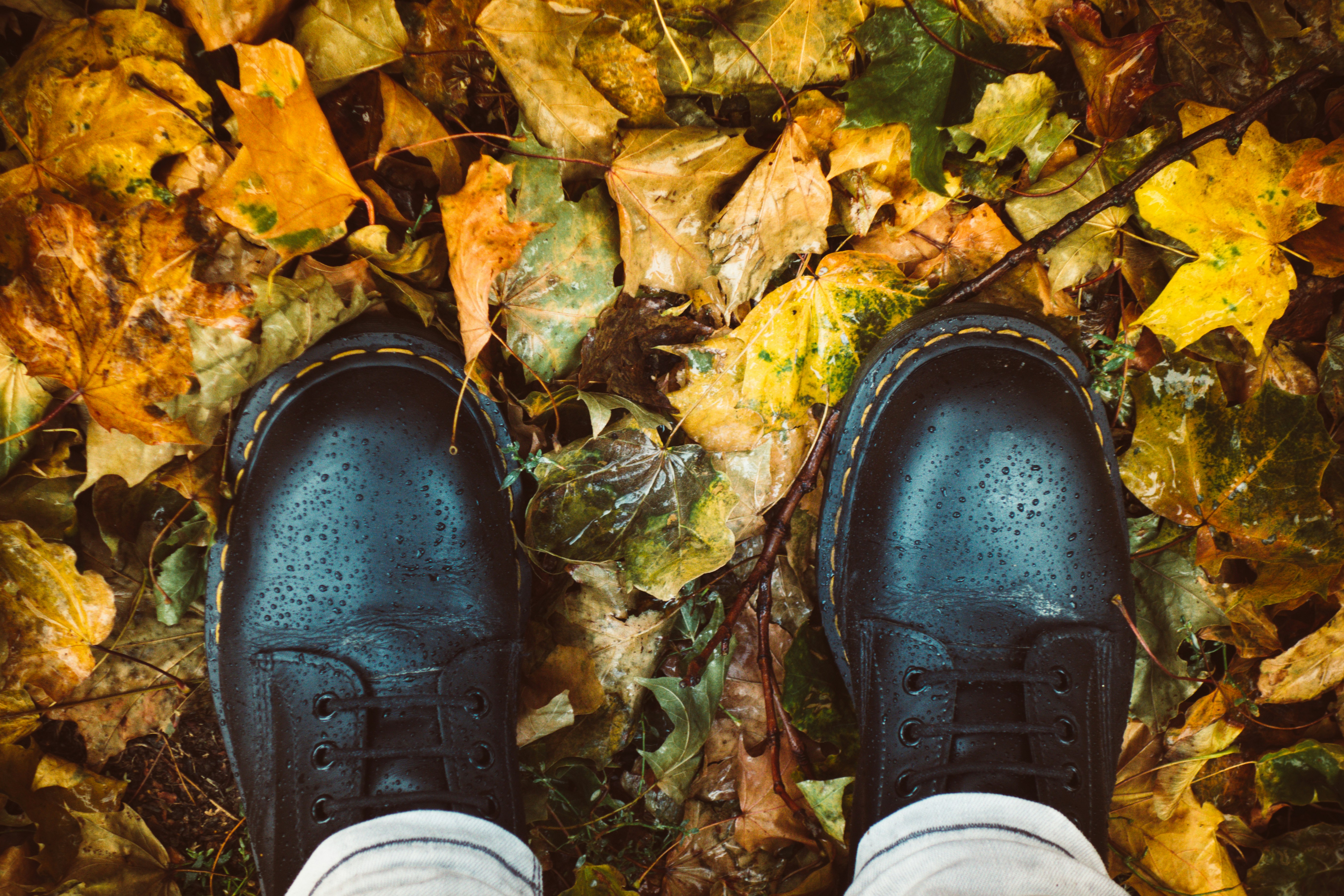 Photo by thejohnnyme