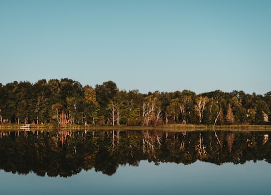 body of water beside trees during daytime in Lake Namakagon United States