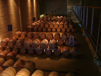 A dimly lit wine cellar filled with wooden barrels stacked neatly in rows. The room features stone walls and suspended lighting fixtures. A metal ladder is placed among the barrels, indicating an area where workers may access elevated rows.