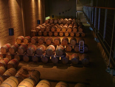 A dimly lit wine cellar filled with wooden barrels stacked neatly in rows. The room features stone walls and suspended lighting fixtures. A metal ladder is placed among the barrels, indicating an area where workers may access elevated rows.