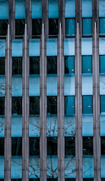 A modern building facade featuring large aluminum-framed windows.