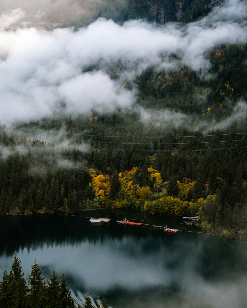 aerial photography of lake surrounded with trees during daytime