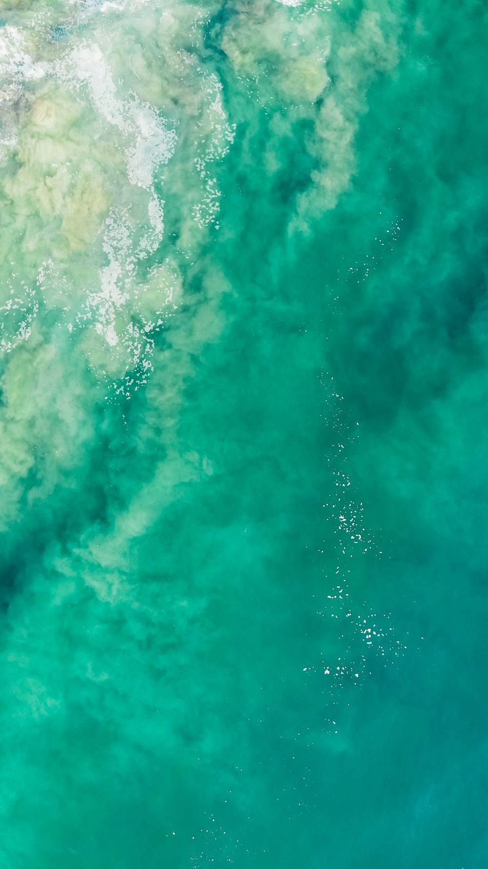 close-up photography of body of water