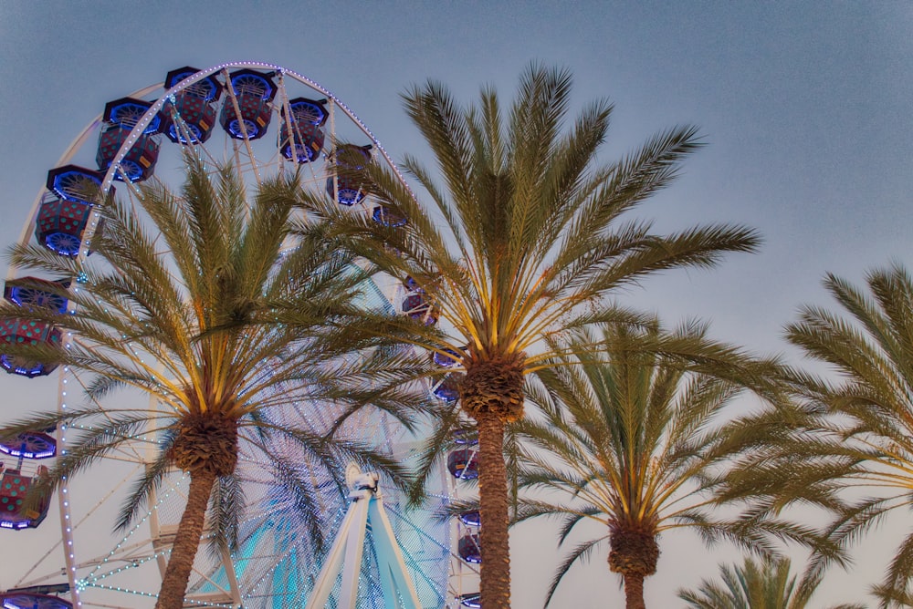 blue ferris wheel