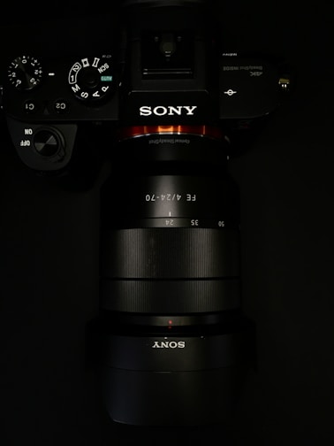 black Sony DSLR camera