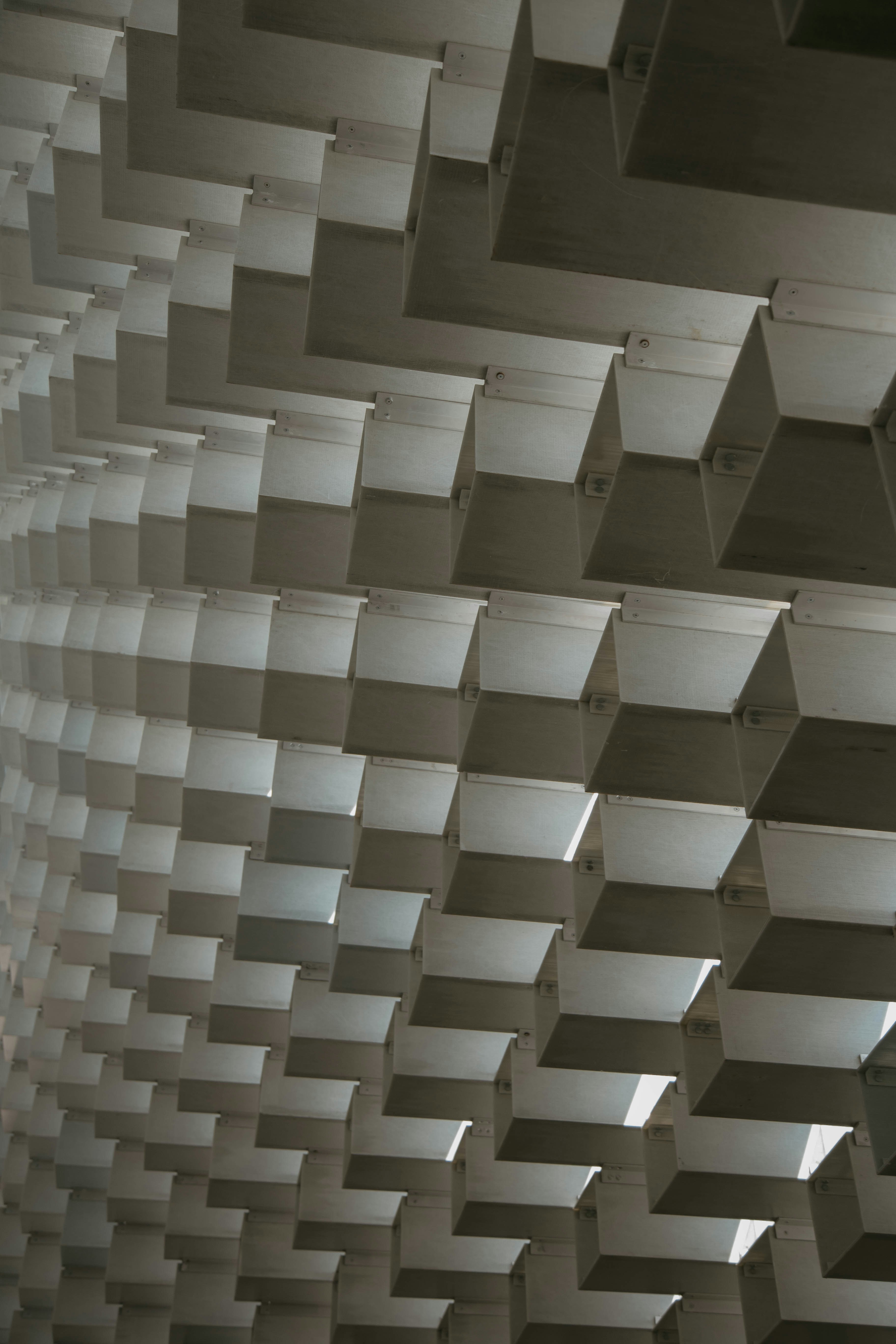 Photo by jarylleadriane