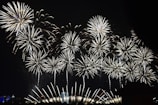 A vibrant display of fireworks illuminates the night sky, with bursts of light radiating outward in intricate, symmetrical patterns. The fireworks create a sense of grandeur and celebration.