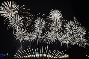 A vibrant display of fireworks illuminates the night sky, with bursts of light radiating outward in intricate, symmetrical patterns. The fireworks create a sense of grandeur and celebration.
