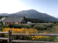 A rustic wooden barn is situated in front of lush greenery and vibrant wildflowers with a backdrop of majestic mountains under a clear sky.