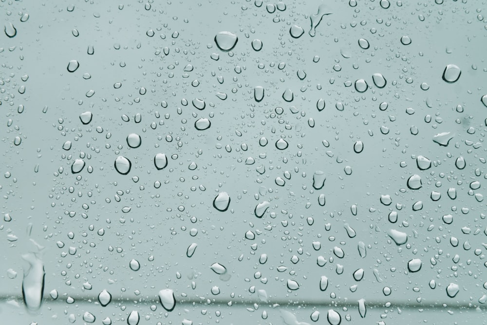 macro shot of water drops