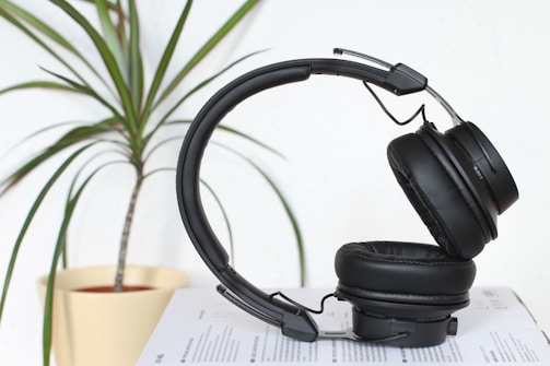black wireless headset beside green Madagascar dragon tree plant