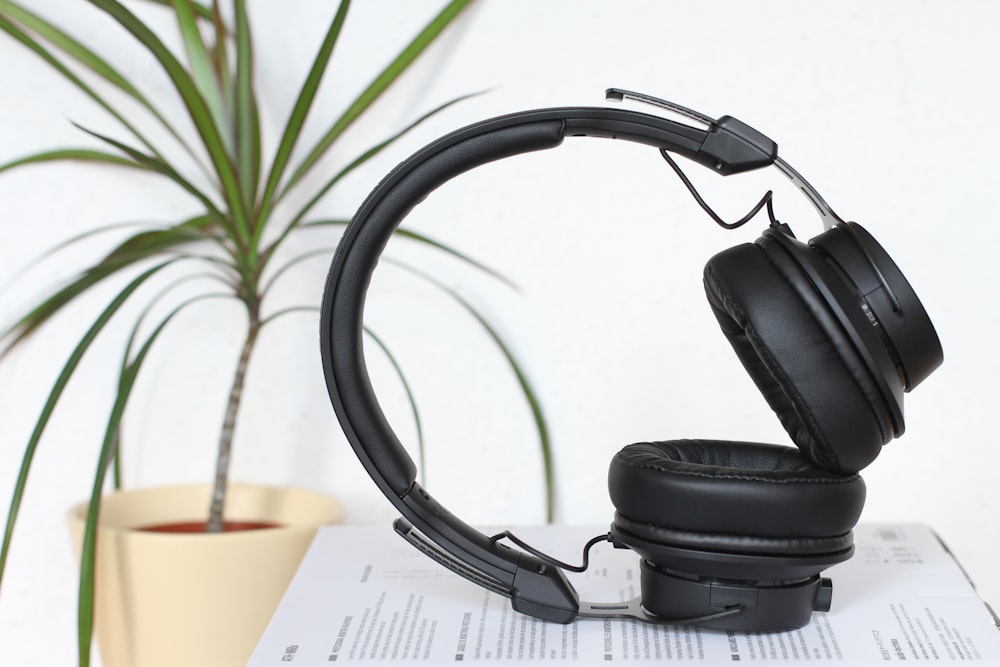 black wireless headset beside green Madagascar dragon tree plant