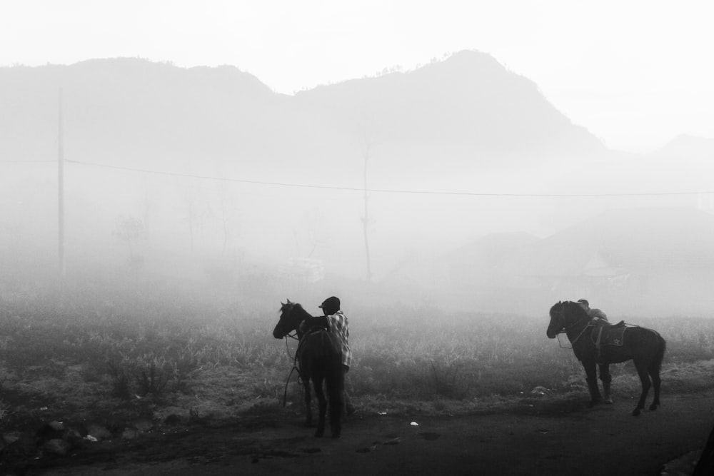 person standing beside horse