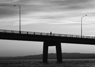 bridge during daytime